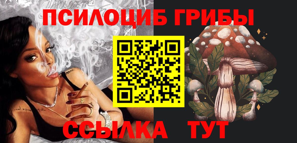Псилоцибиновые грибы Psilocybe  Вход с VPN  цена   Пугачёв 
